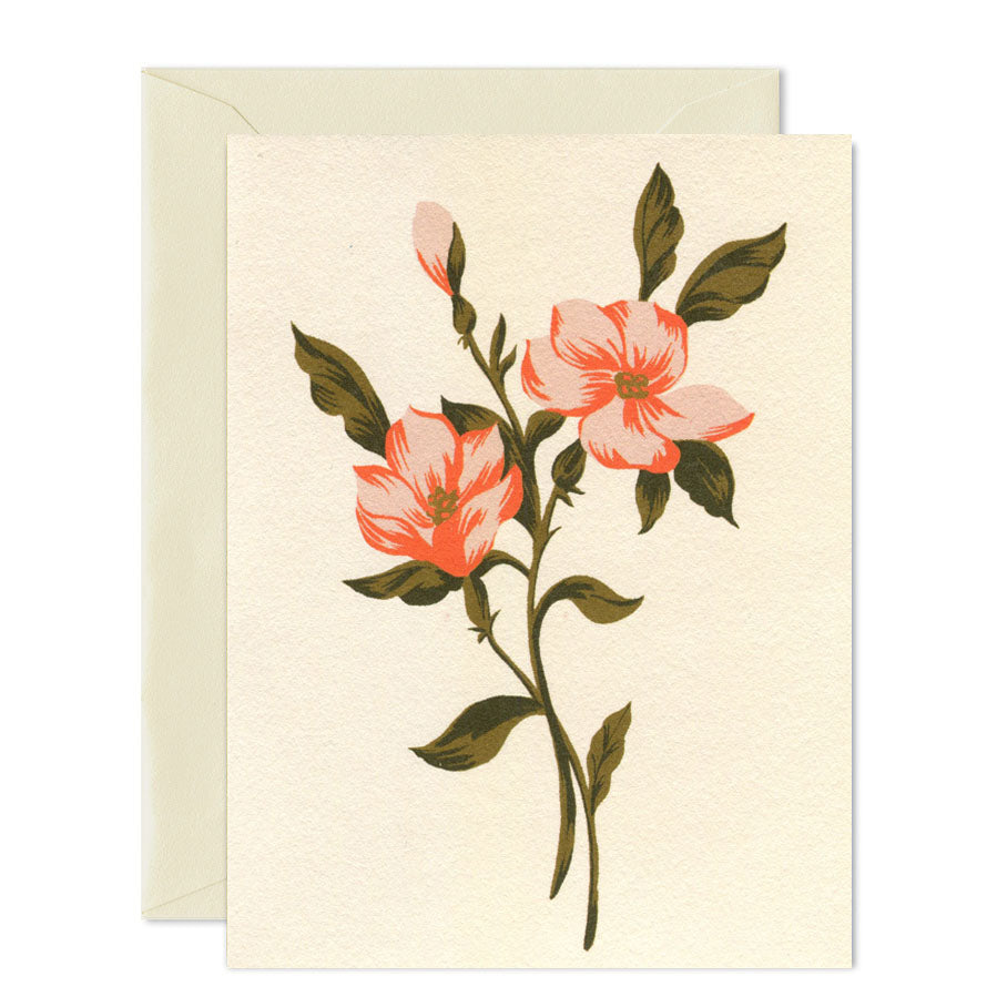 Assorted Blank Greeting Card Set